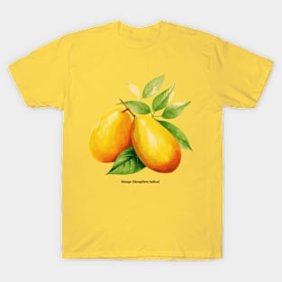 Botanical illustration of Mango (Mangifera indica) T-Shirt